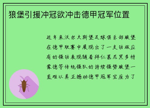 狼堡引援冲冠欲冲击德甲冠军位置
